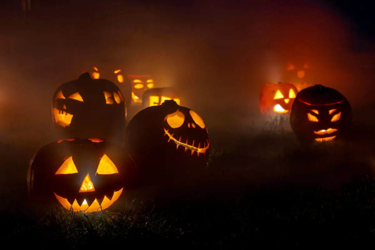 Glowing jack-o-lanterns at night